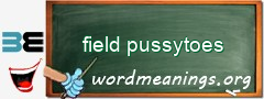 WordMeaning blackboard for field pussytoes